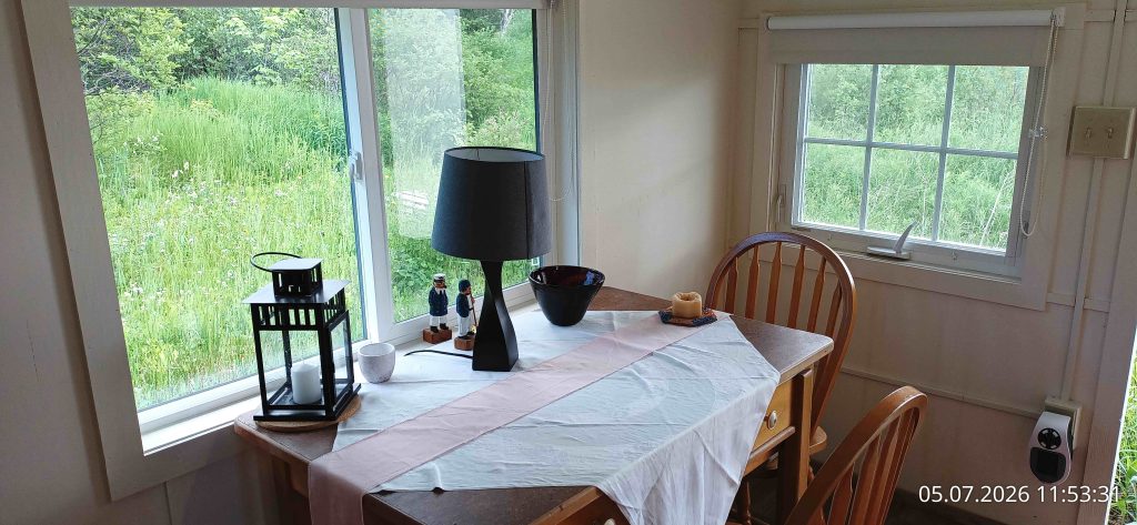 Granny Suite - Bed Room Table - View into the woods