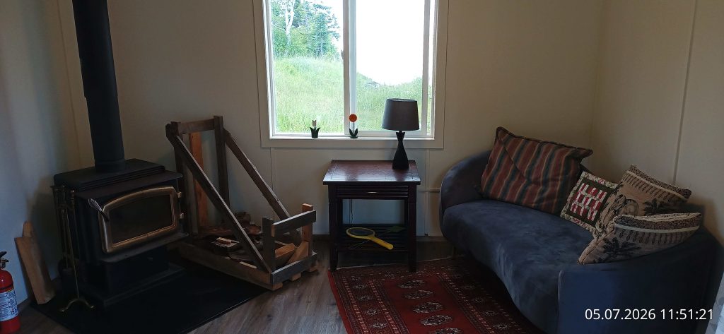 Granny Suite - Living Room with wood stove